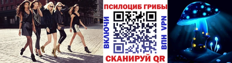 Галлюциногенные грибы Psilocybine cubensis  Андреаполь 